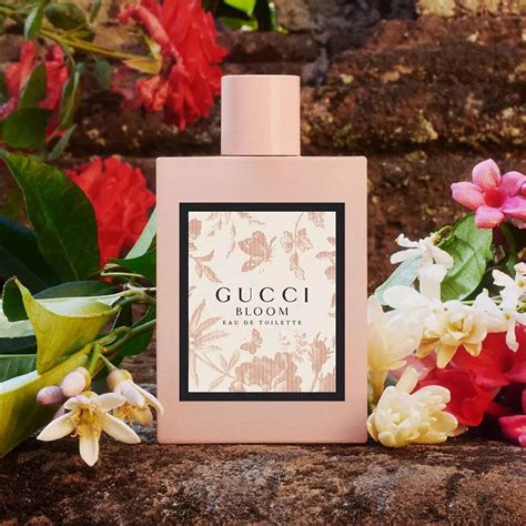 fragrantica bloom gucci|gucci bloom costco.